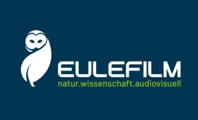 Logo Eulefilm