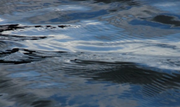 bewegte Wasserfläche der Elbe