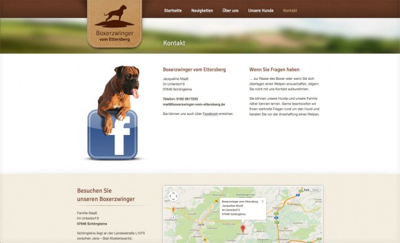 boxerzwinger-web-3