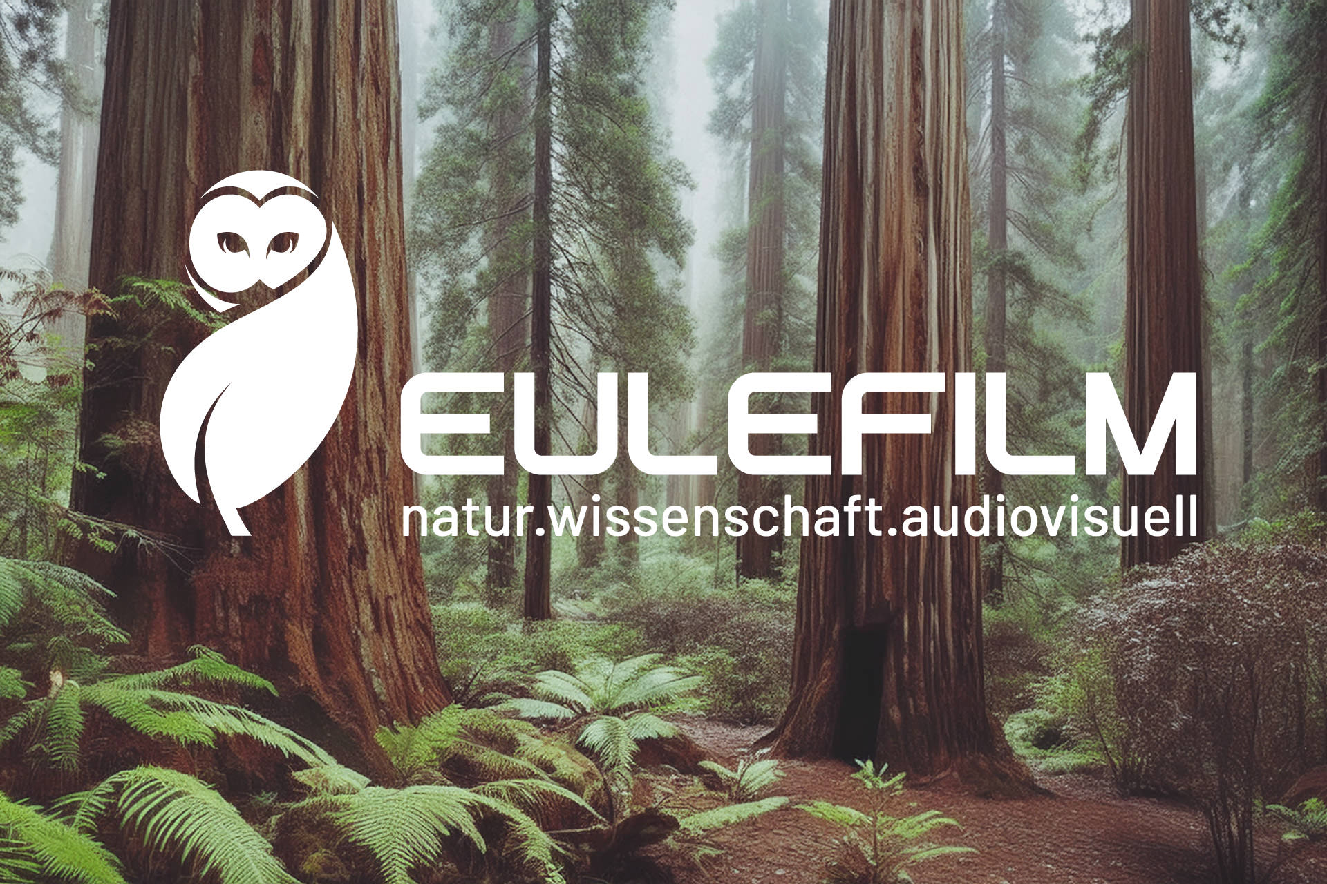 projekt-eulefilm-logo-invers Eulefilm invers mit Waldhintergrund