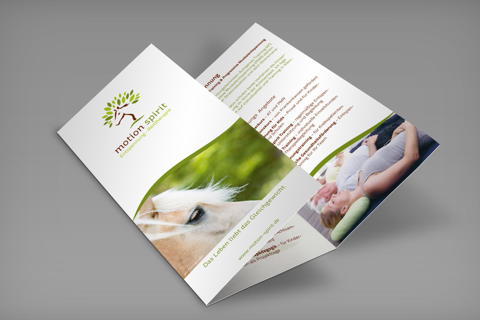 motion spirit Faltflyer