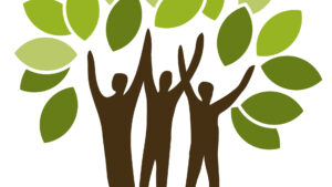 Logo Stiftung Wald Vorschau