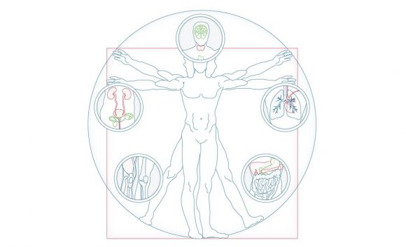 Salusophy Illustration Bereich Medizin