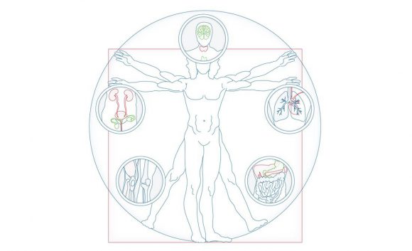 Salusophy Illustration Bereich Medizin