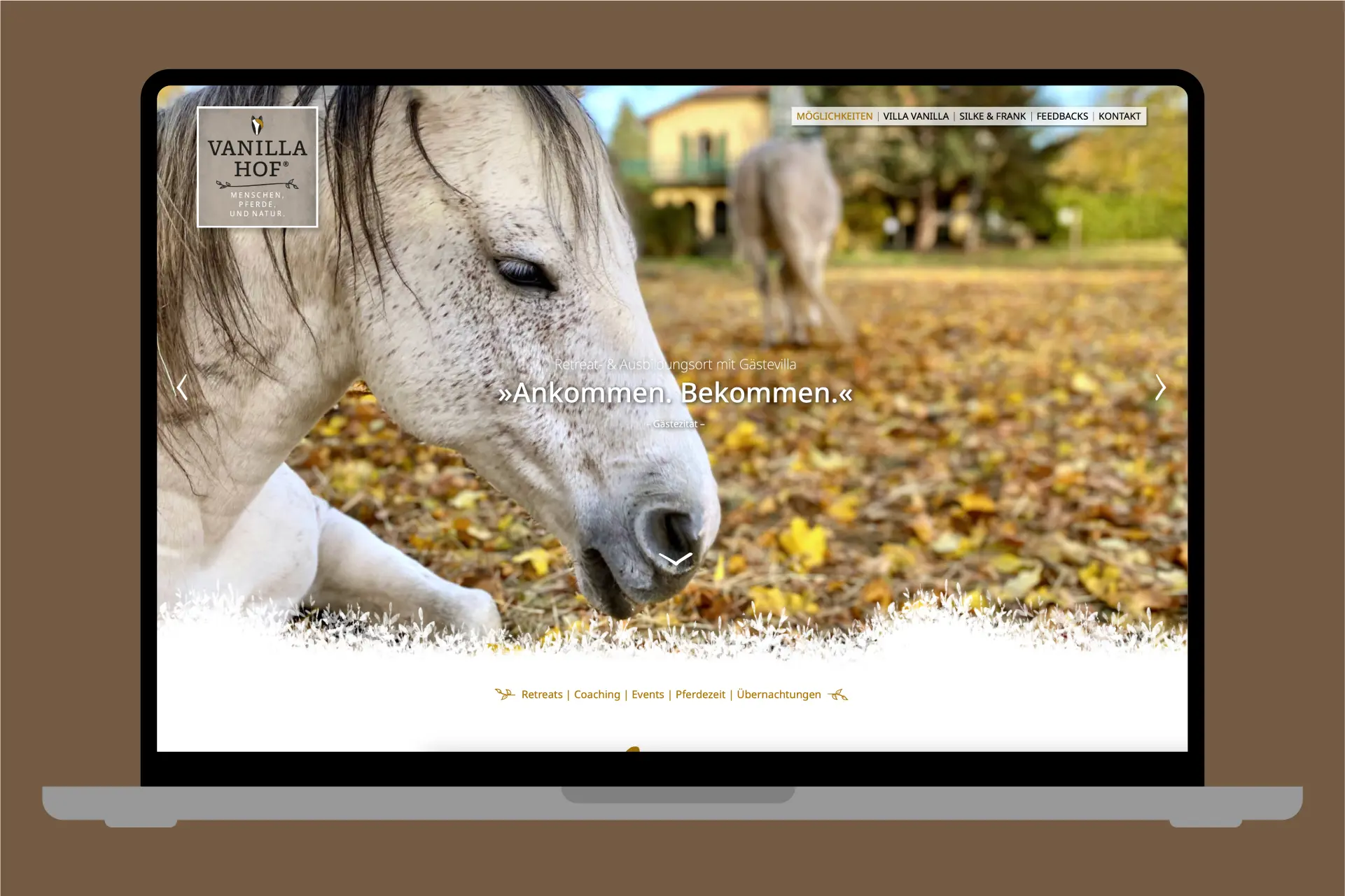vanillahof-webdesign-startseite vanillahof webdesign startseite